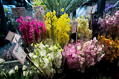 回乡大巴车最后一排：春节回家情：揭秘大巴车最后一排的独特魅力