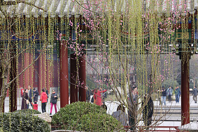 136大但人文艺术：探索艺术宝库，136大平台开启心灵之旅-1
