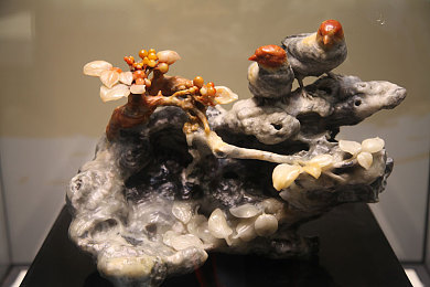 狼群社区：自然家园：探索城市边缘的生态秘境-3