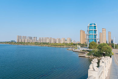人与善交禽XX：鸟语花香，心灵共舞——和谐共生之旅-2