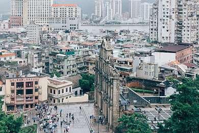 密芽：惊喜互动，趣味无限，生活焕新颜-1