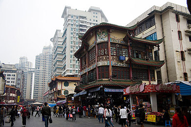 鲸鱼传媒下载官网：深海奇幻之旅：热门海洋探险游戏《鲸鱼传媒》攻略揭秘，畅游神秘海洋，收集珍稀生物！
