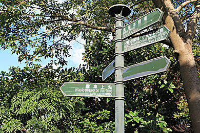 91.con：畅游神秘天地，尽享91游戏盛宴