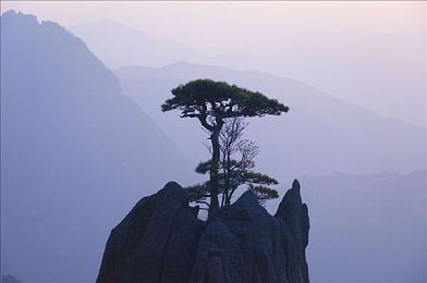 污游戏：网络清朗，共筑青少年健康成长防线-4