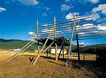榴网站：神秘热带探险，揭开岛屿谜团之旅-2