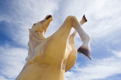 绿巨人隐藏官方入口：神秘通道揭秘：探索绿巨人游戏世界的隐秘角落-2