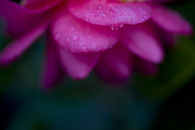 大团圆亲情会王芳王虎：姐弟重逢，亲情涌动：王芳王虎温馨家庭聚会传递家庭温暖-4