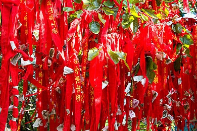曰的老妇嗷嗷嗷大叫：悲鸣唤未来：农村养老困境引发社会共关注-2