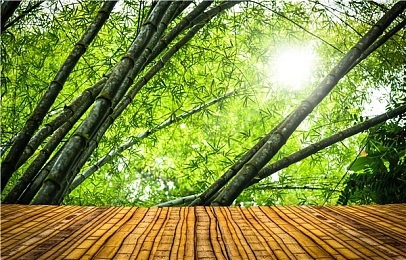 色情网站都封了吗：净网行动显成效，网络家园焕新颜，安全空间共守护-5