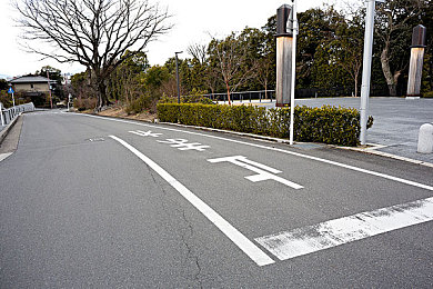 电梯里的梅开二度：神秘电梯惊悚时刻：揭秘停电故障下的生死考验-5